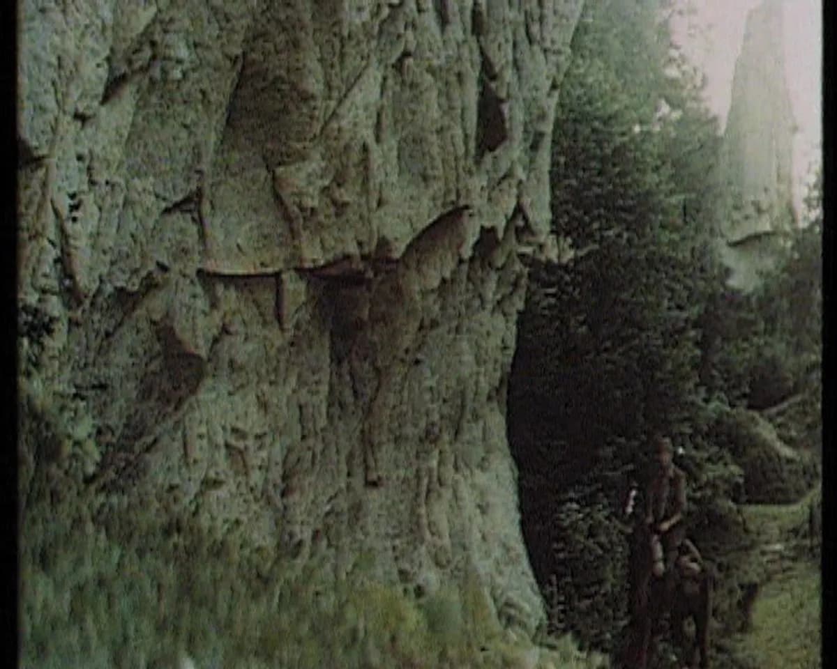 Gdzie kręcono film Wilcze echa? Odkryj tajemnice lokalizacji w Bieszczadach