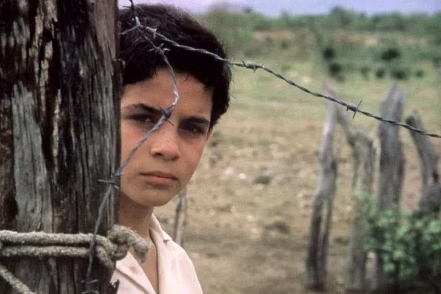 Miasto Boga i inne arcydzieła: dlaczego warto zagłębić się w brazylijską kinematografię